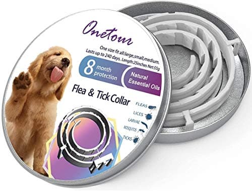 Dogit DO Holiday Beefhide Dog Snack Shaped as Candy Canes 7 inch - 20 Pack