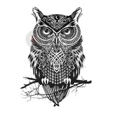 5 x Seriowl - Temporary Tattoo by TempTatz