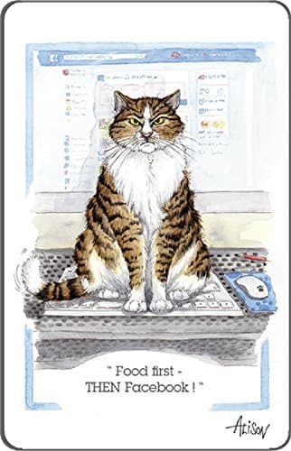 Fridge Magnet: Food first ... then facebook!