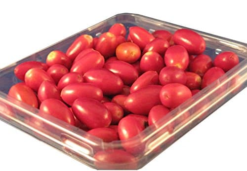 Fresh Miracle Fruit Berries - Pack of 30