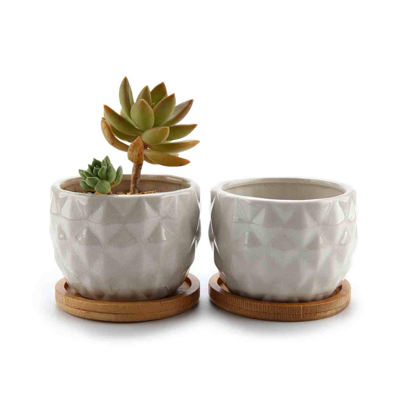 ComSaf 8.3CM Ceramic Succulent Cactus Planter Pot Set with Bamboo Tray Pack of 2 - Pineapple Shape White, Home and Office Decoration Desktop Windowsill Bonsai Pots Wedding Birthday