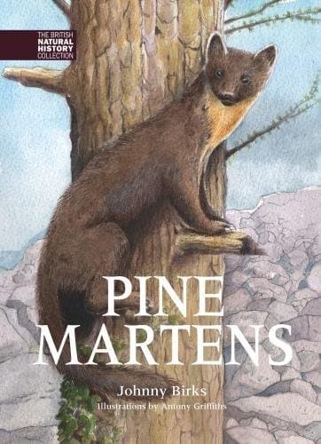 Pine Martens: 8 (The British Natural History Collection)