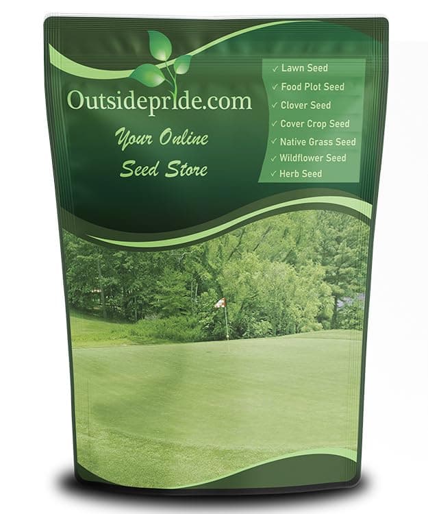 Outsidepride Yukon Bermuda Grass Seed - 2 lbs Cold & High Traffic Tolerant, Premium Hybrid Bermuda Turf Grass Seeds for Lawn, Ideal Low Maintenance Seed Grass for Colder & Challenging Area