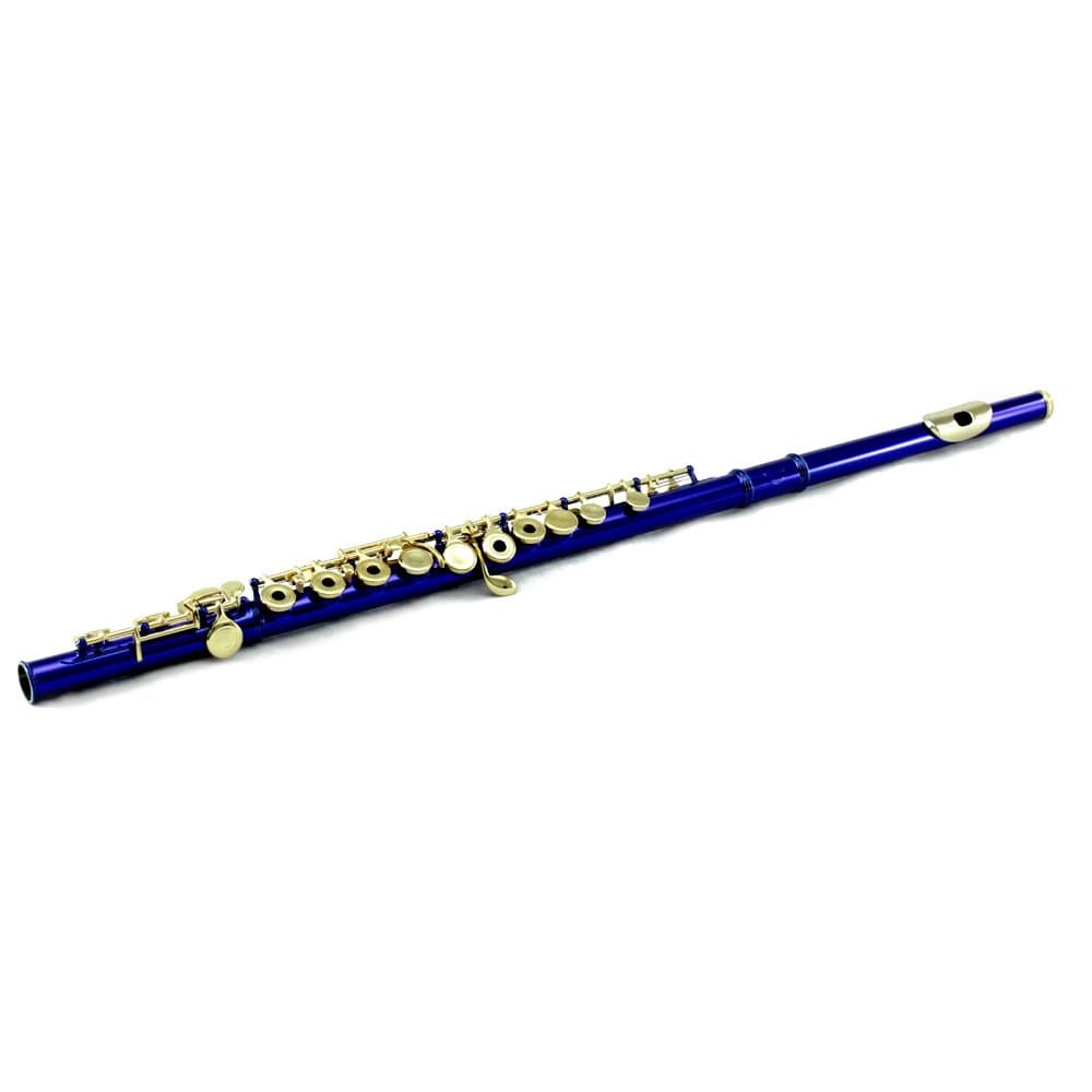 Sky Blue Lacquer Gold Keys Open Hole C Flute with 1 Year Manufacturer Warranty, with Lightweight Case, Cleaning Rod, Cloth, Joint Grease and Screw Driver
