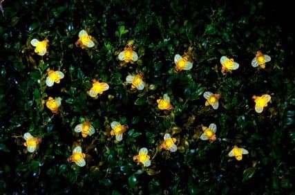 MDL- 30 Insect LED Solar Power Fairy String Light Garden Party Decor Bee New