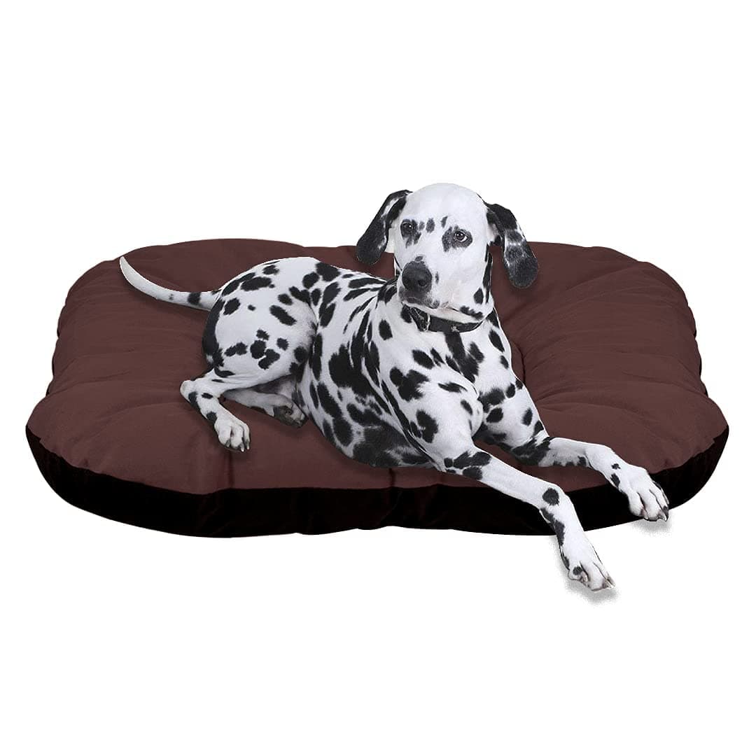 Mellifluous Rectangular Washable Soft Velvet Pet Bed for Dog and Cat (Small,Brown-Black)