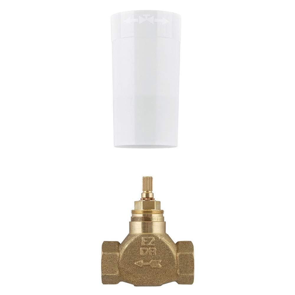 Concealed Valve Body (Brass, Standard Size)