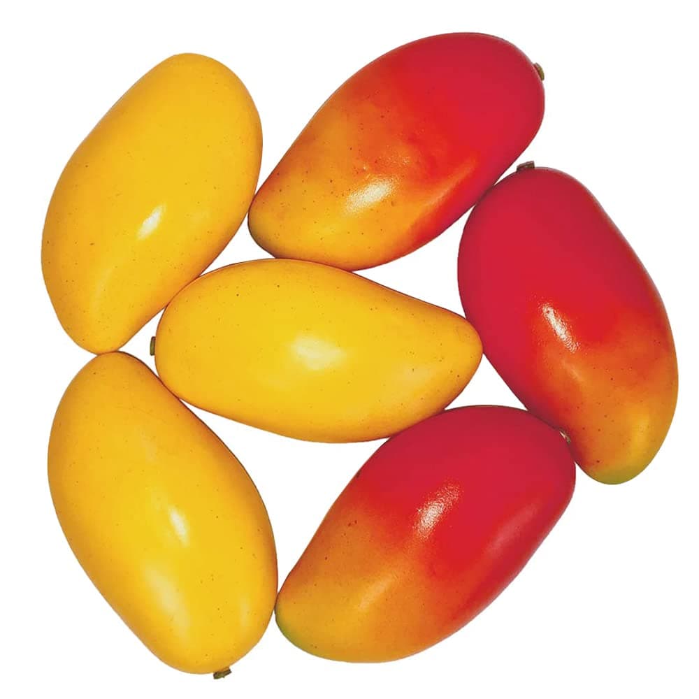 Lorigun 6 Pcs Artificial Mangoes Simulation Fake Fruit Home Decor Photo Props Restaurant Display Fruit Ornaments (Red & Yellow)