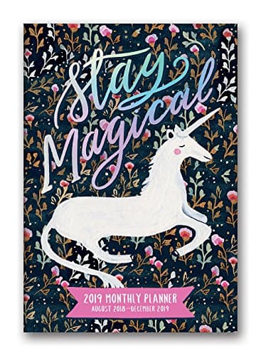 Orange Circle Studio 2019 Monthly Pocket Planner, August 2018 - December 2019, Stay Magical