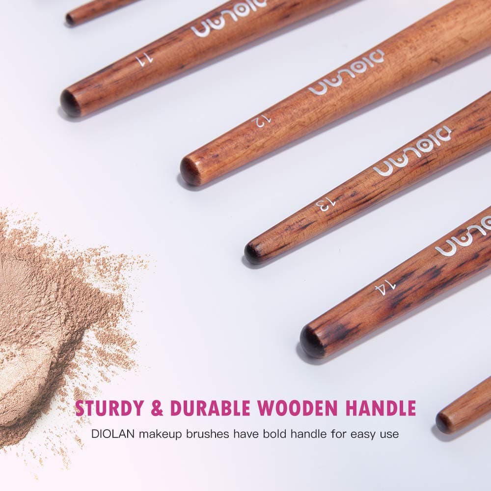 Makeup Brushes DIOLAN Makeup Brush Set Professional 17-Piece Make Up Brushes Premium Synthetic Foundation Brush Blending Face Powder Blush Concealers Eye Cosmetics Make Up Brush Kits