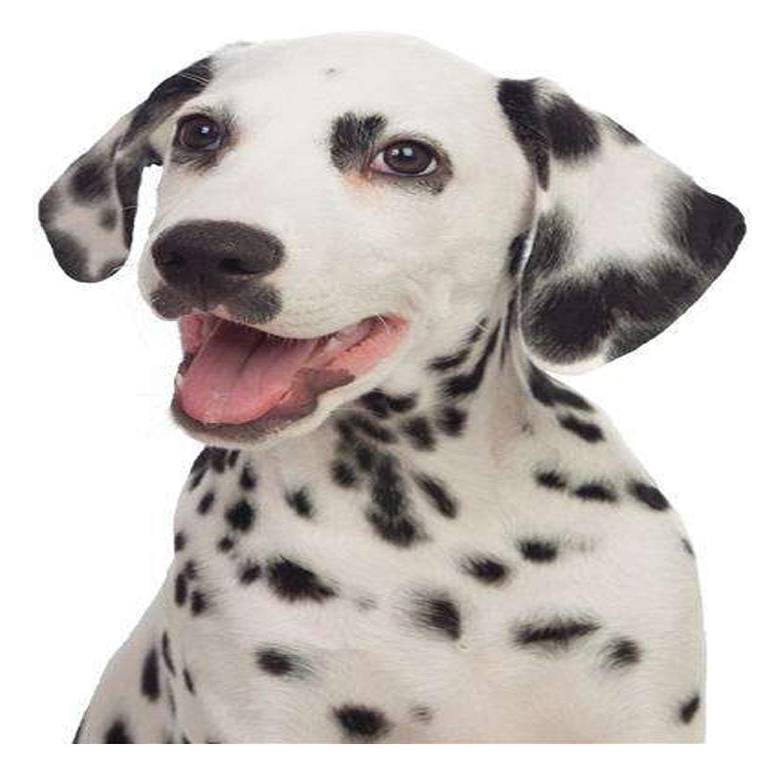 Lightning to HDMI VGA Adapter, lightning digital av adapter 4 in 1 HDMI/VGA/Audio/Video lightning Adapter Converter Plug & Play on HD TV Projector 1080P for iPhone, iPad, iPod,iPhones