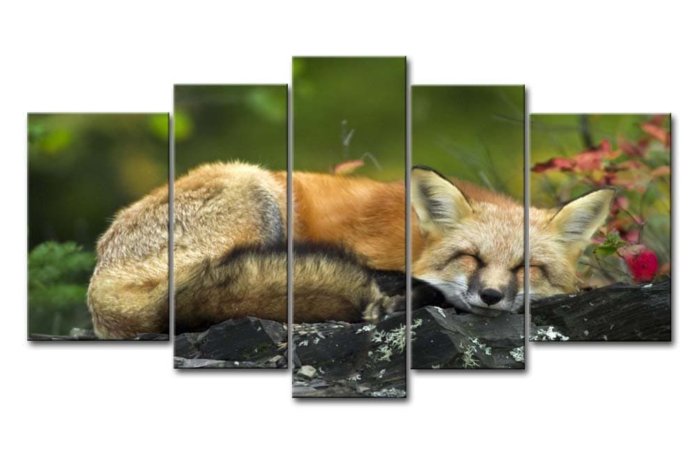5 Panel Wall Art Painting Sleeping Red Fox Pictures Prints On Canvas Animal The Picture Decor Oil for Home Modern Decoration Print