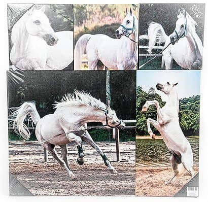 Wall Decor Paintings on Canvas Stretched and Framed Ready to Hang, 5 Pieces(Horses)