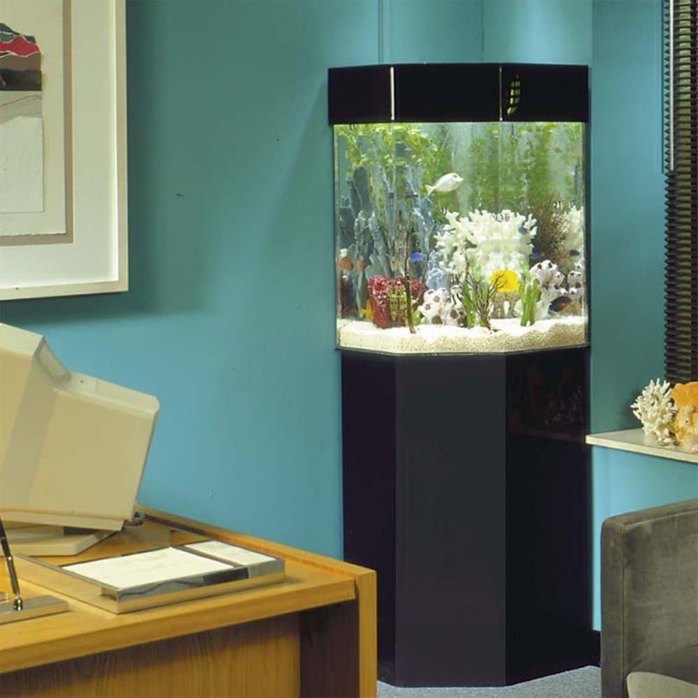 PentaView Triangle Corner 35 Gallon Aquarium with Stand