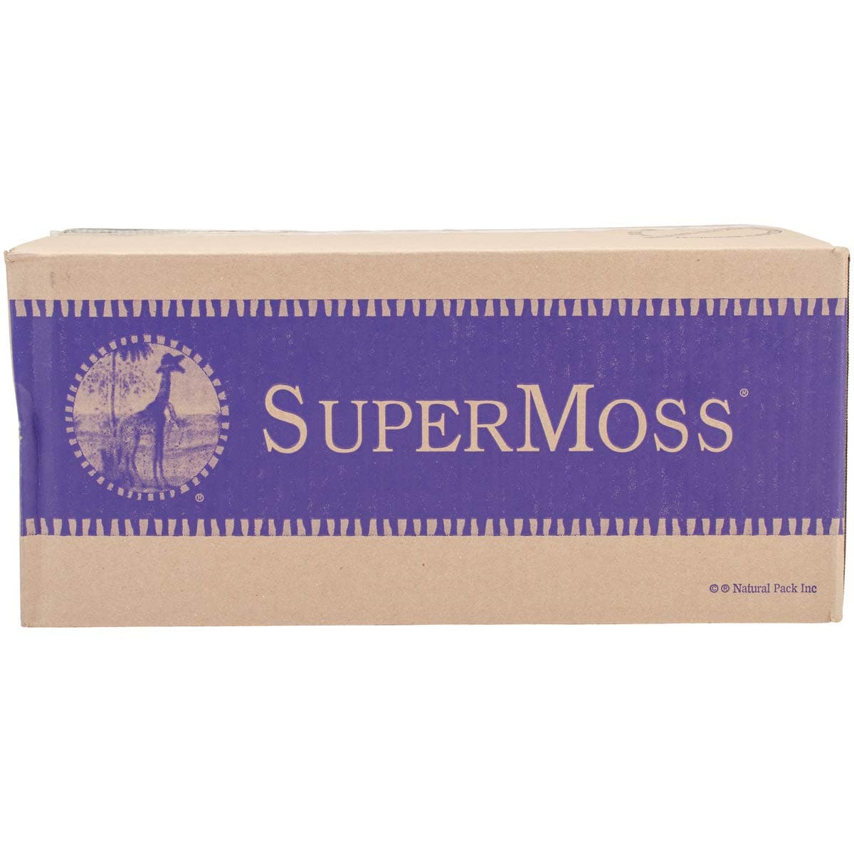SuperMoss (21773) Reindeer Moss Preserved, Chartreuse, 3lbs