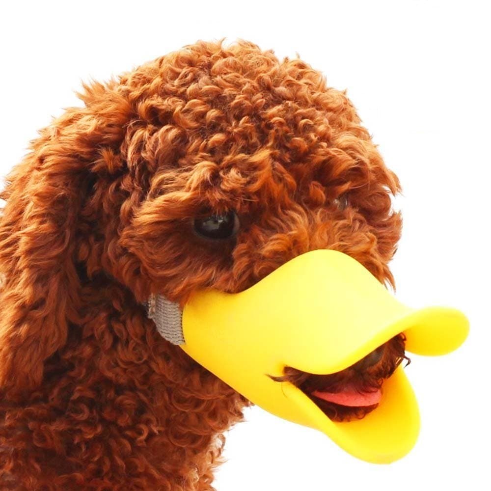 My Dog Muzzle | Adorable Anti-Bite Anti Called Cute Duck Mouth Shape Dog Mouth Cover for Protection | Comfy Flexible Rubber with Adjustable Strap for Small and Medium Dog Breed Only | Size 3