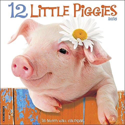 12 Little Piggies 2016 Wall Calendar