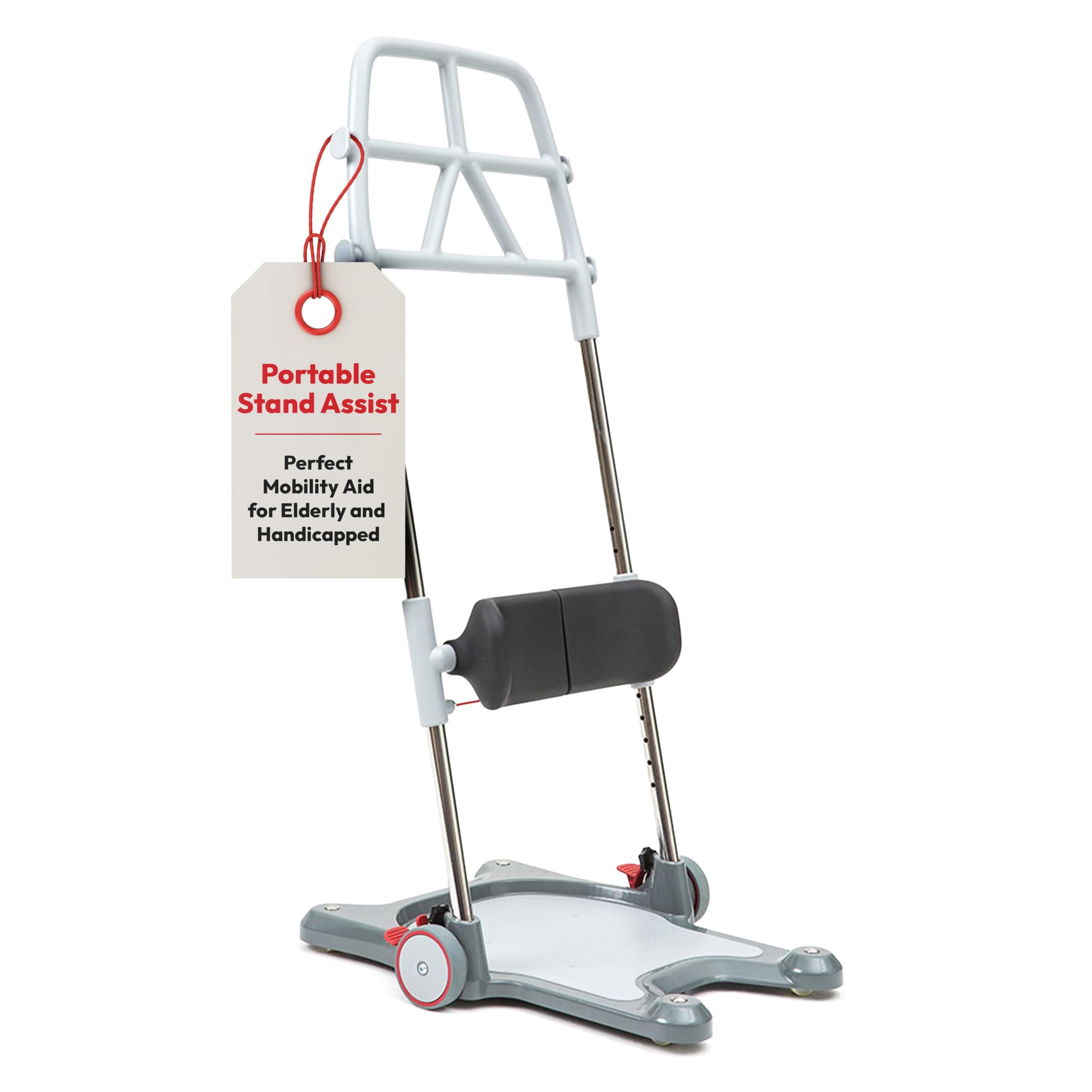 Molift Raiser Pro Sit-to-Stand Patient Lift for Elderly Assist - Portable Chair Lift for Patients, Stand Lift for Elderly, Lift Assist for Elderly - Sturdy and Easy to Use Minimizes Stress