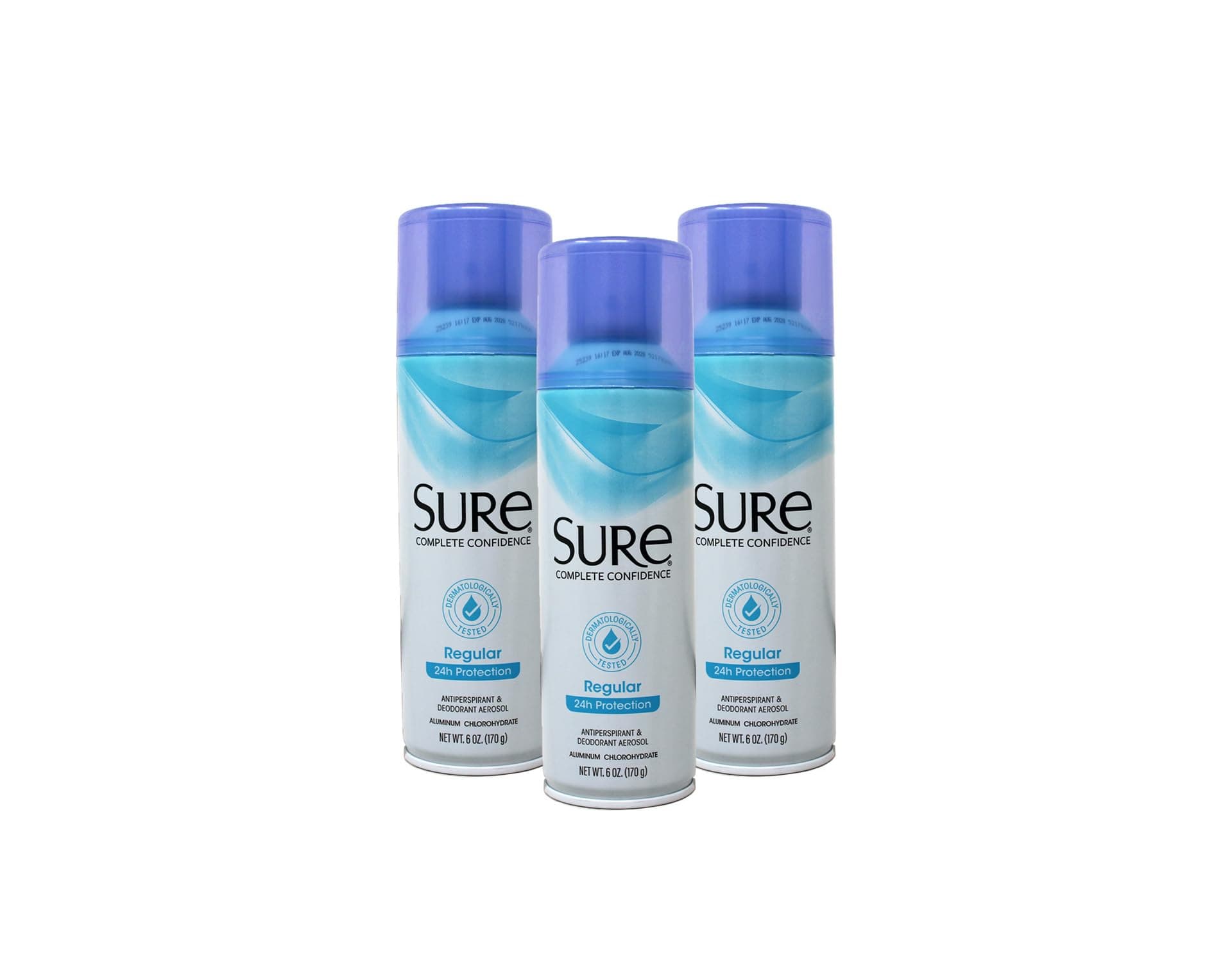 Deodorant 6 Ounce Aerosol Regular Scent (177ml) (3 Pack)