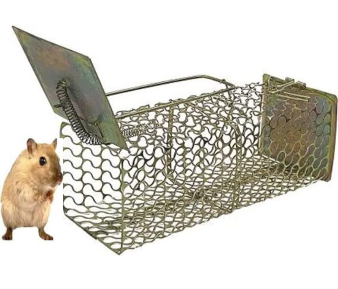 MorningVale ® Rat/Mouse/Rodent Small Trap Cage Rustic Copper (Chain Trap)