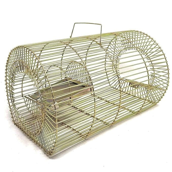 Iron Rat Trap Cage – Humane Catch & Release Plank Trap. No-Kill Rodent House for Live Capture, a Friendly Pest Control Solution for All Rat Types 12 x 8 Inch