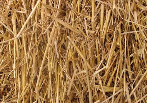 100 Percent Natural Wheat Straw (8 lbs.)