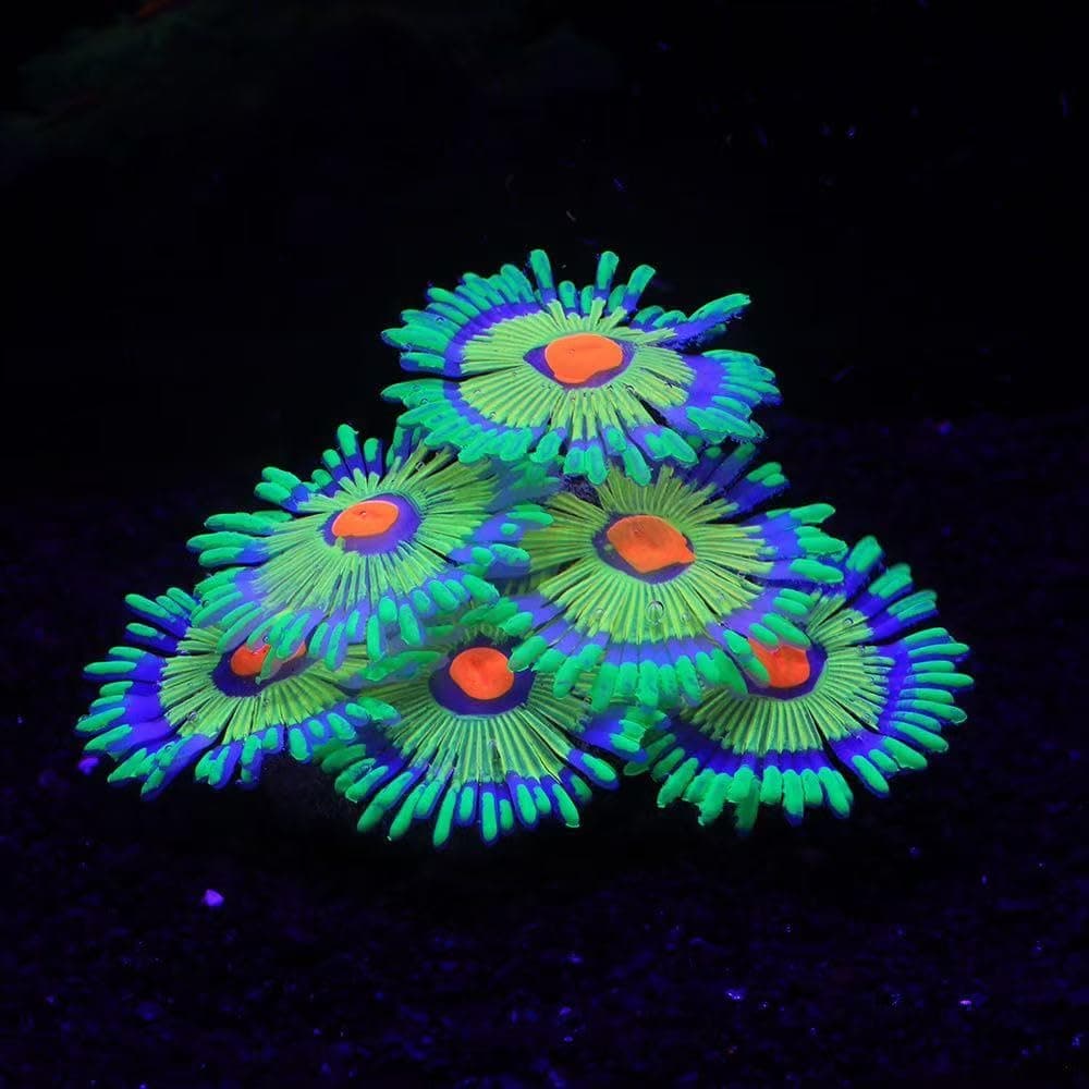 ZtohPyo Glowing Effect Fish Tank Aquarium Decorations, Artificial Silicone Plants Ornaments for Fish Tank Landscape Decor Glow in The Dark Soft Anemone for Small Fish Bowl Decor