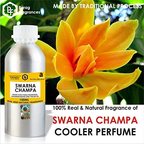 Parag fragrances World Class Cooler Perfume, 100 ml