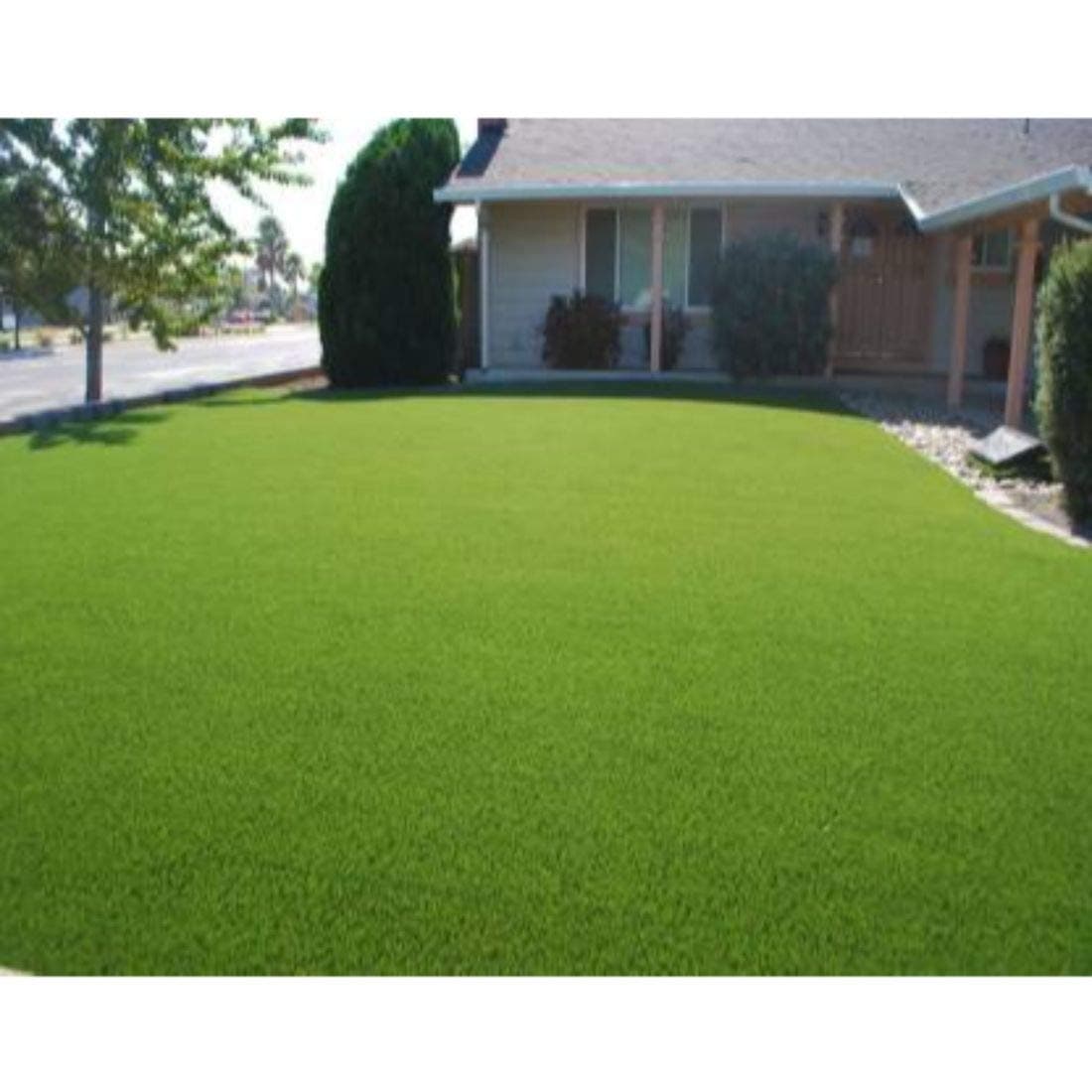 CHETANYA Loomtex High Density Artificial Grass Carpet, Grass Mat for Balcony, Terrace, Floor, Office, Home (Green Grass 5x8 Feet)