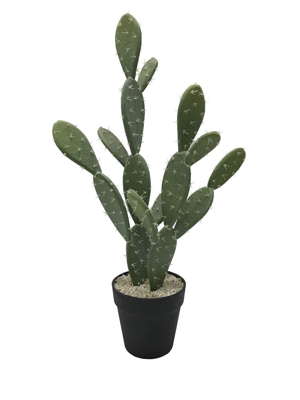 Artificial Fake Cactus Plants Simulation Decorative Plastic Plant with Black Planter …