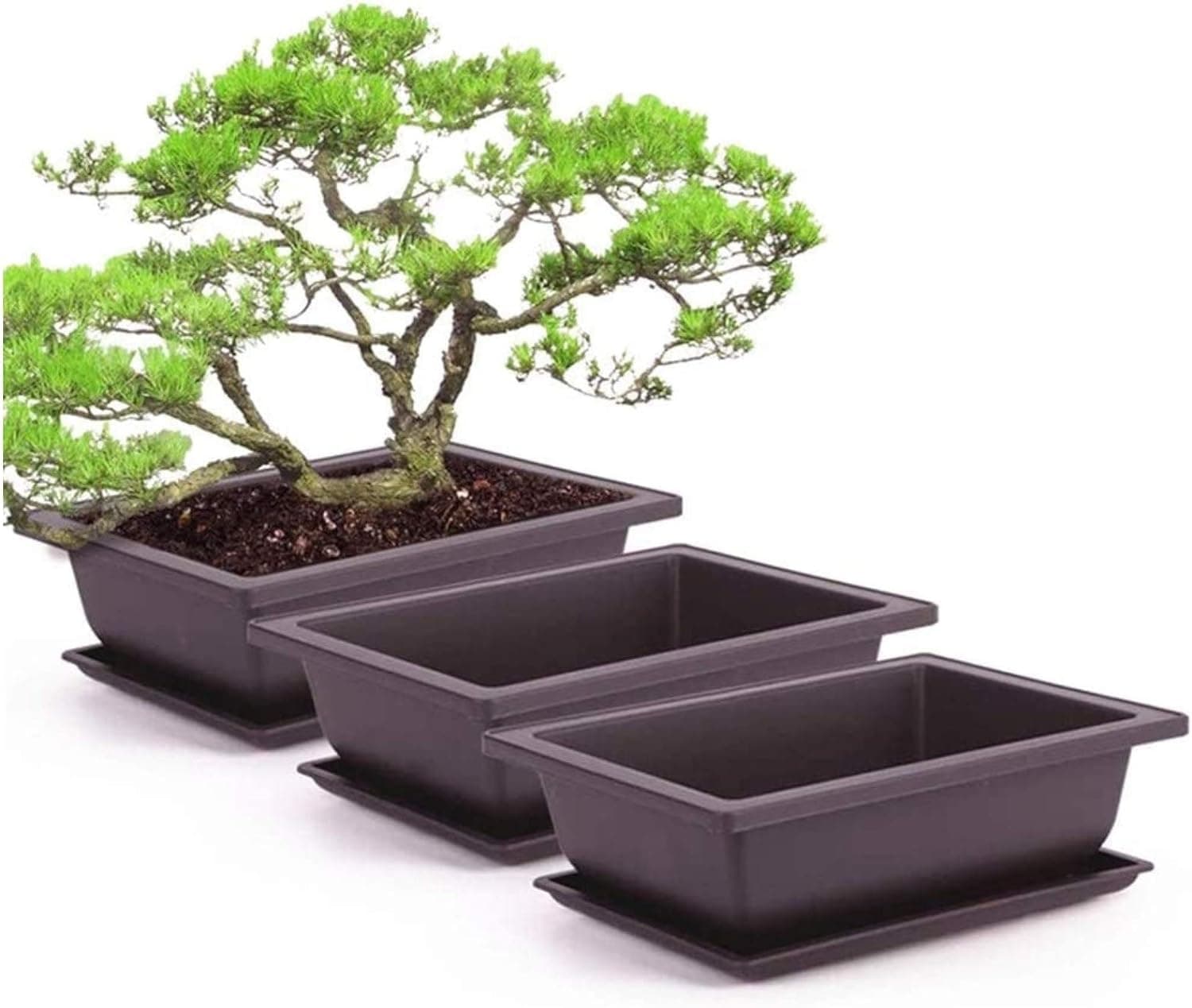 3 Pieces Rectangle Plant Pot, Plastic Bonsai Training Pots, Flower Succulent Pots with Trays Planter Container Durable Plants Growing Pots for Garden, Indoor, Home Decorative,small