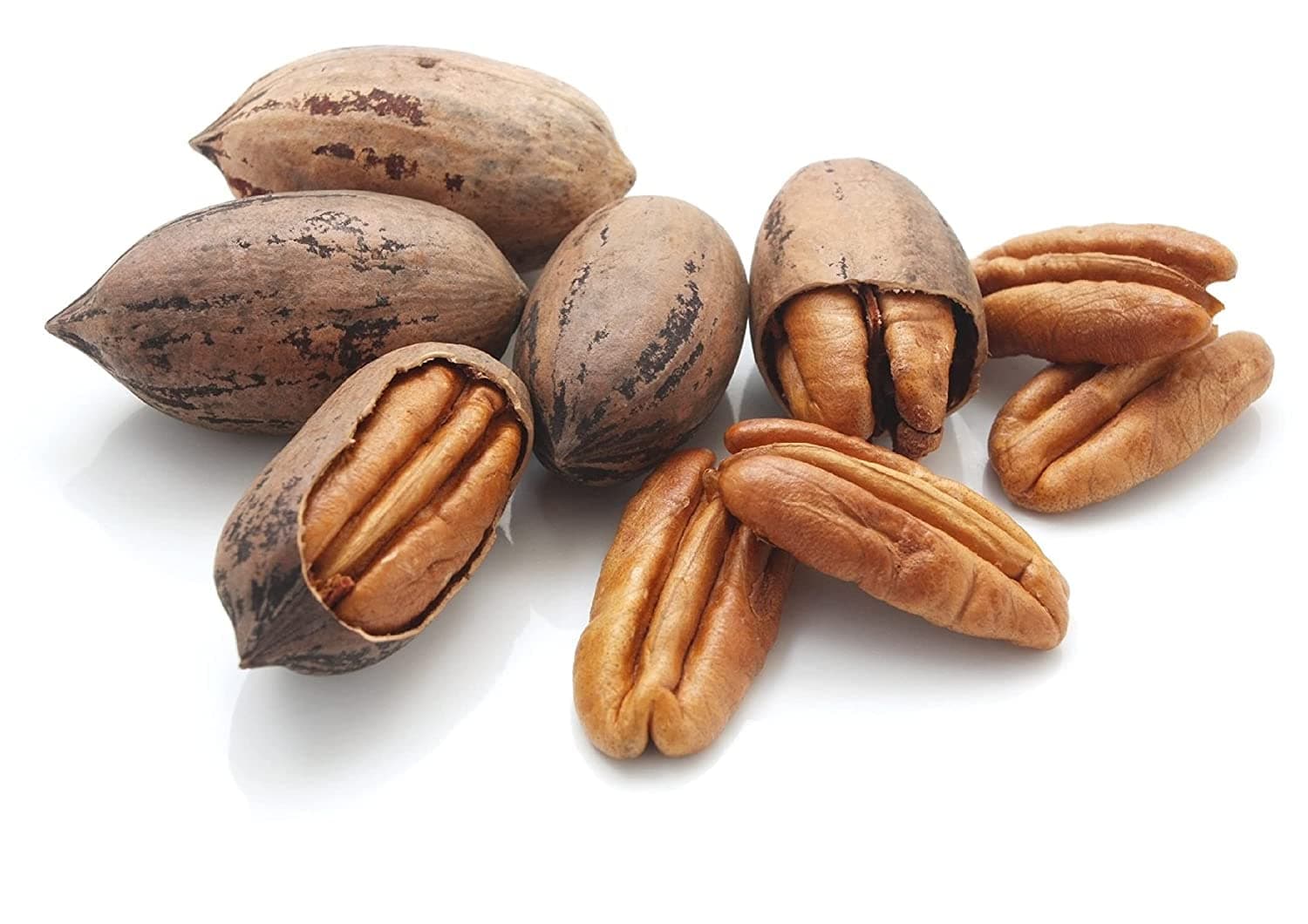 Raw Pecans in Shell, Natural Whole, Unsalted, Protein Keto Snacks, GMO Free, Gluten Free, Vegan, Essential Vitamins & Minerals, Nutrient Rich Healthy Food (1 KG)