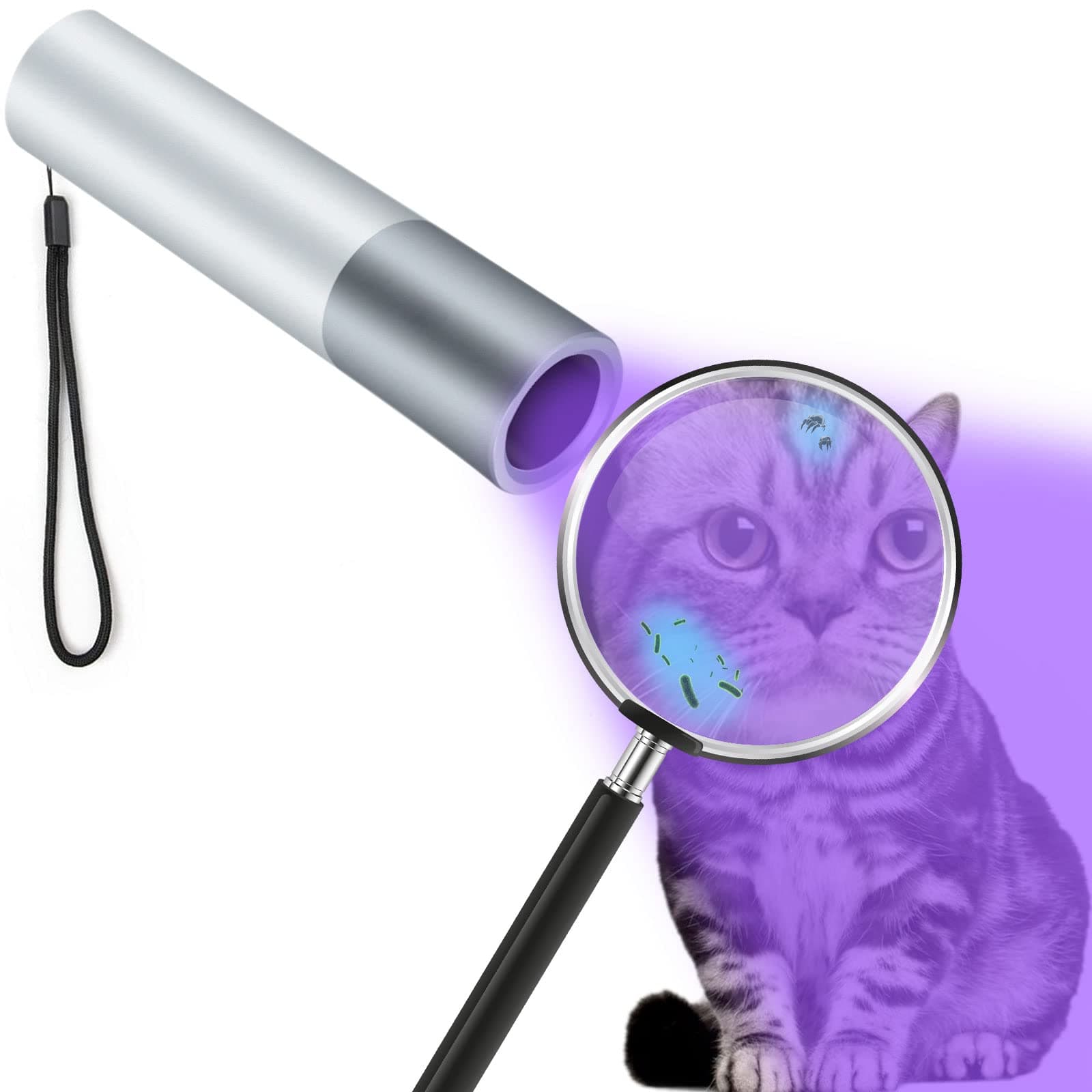365nm UV Flashlight Black Light,Portable Handheld USB rechargeable Cat Ringworm Detector lamp,for Dog Cat Care and Resin Curing,Anti-counterfeiting Identification and Analyzing Skin (silver white)