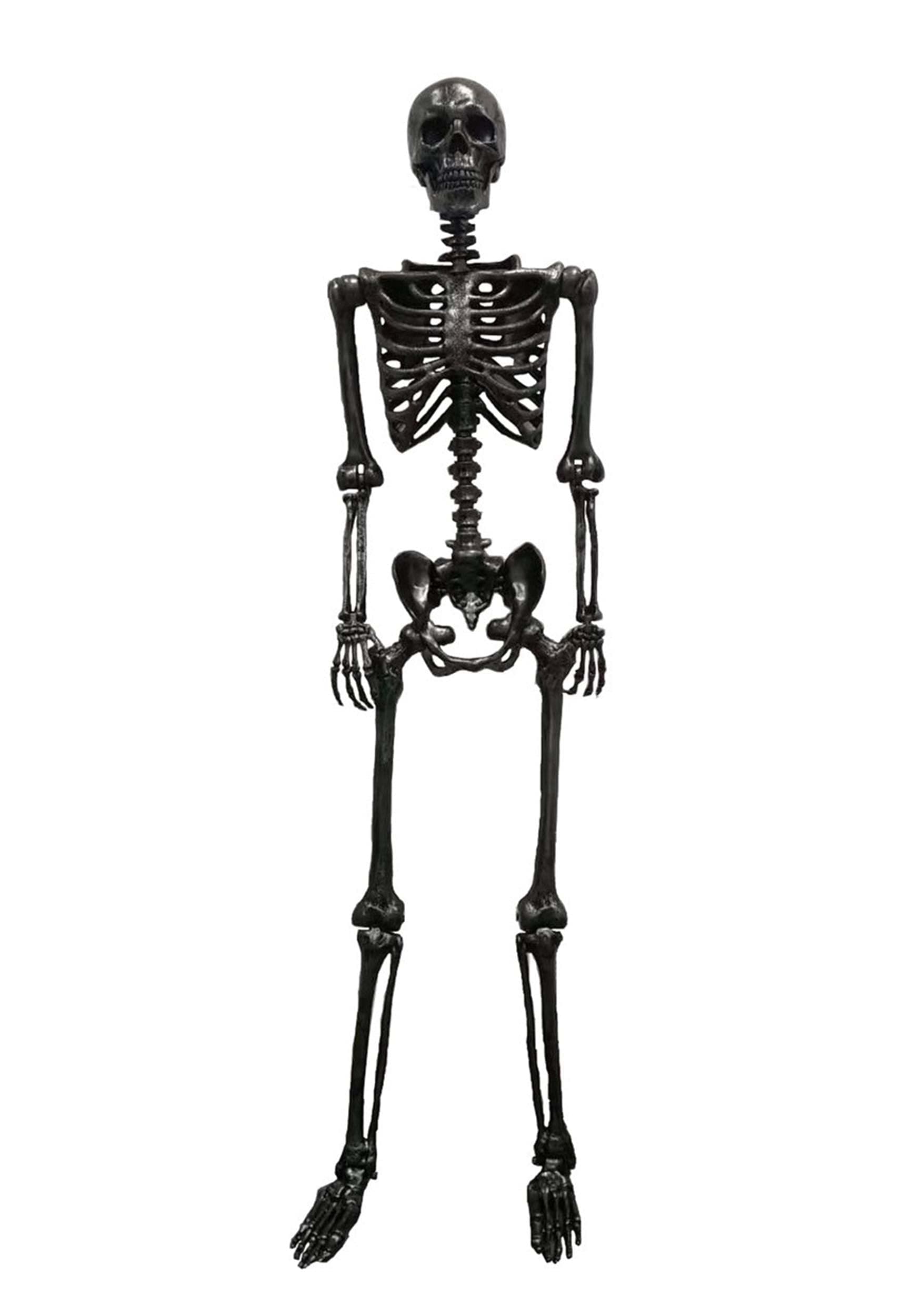 Gun Metal 24" Skeleton Prop Standard