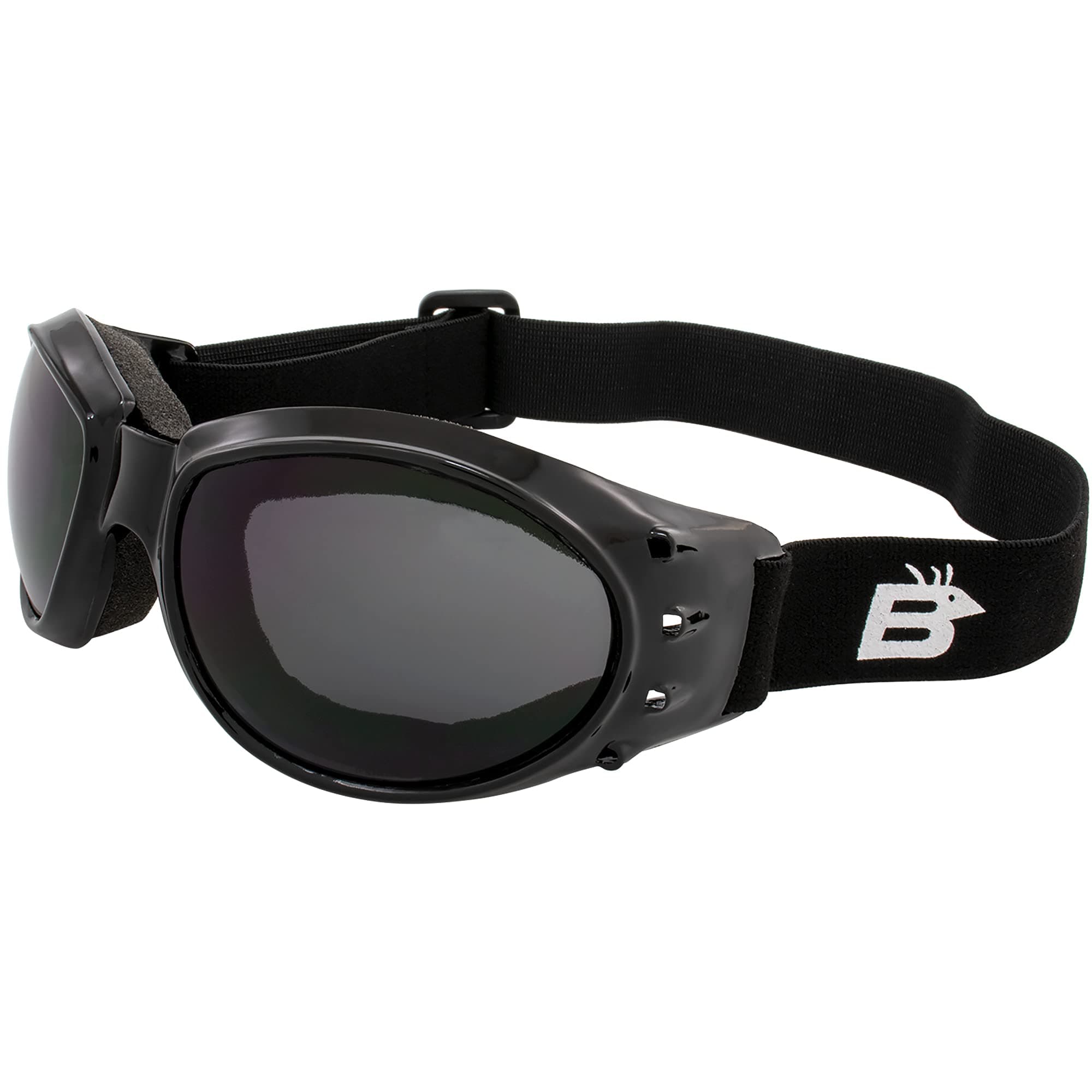 BirdzEyewear Eagle Motorcycle Goggles (Black Frame/Smoke Lens)