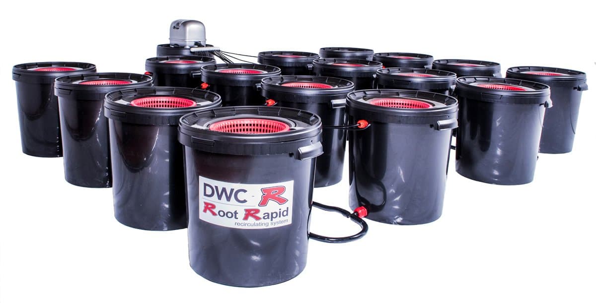 16 Pot DWC R Root Rapid Hydroponic Deep Water Culture System