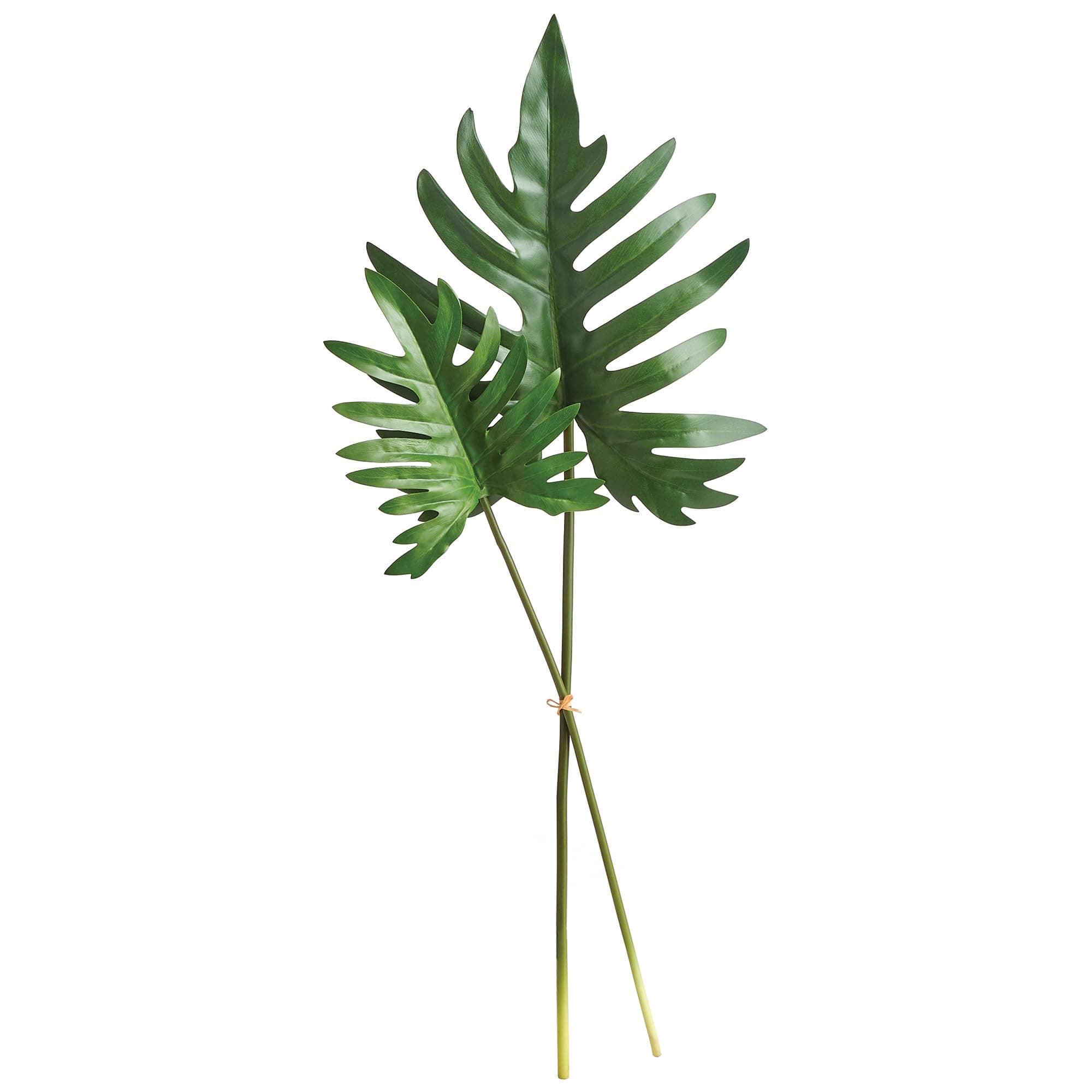 Napa Floral Collection-Split Leaf Selloum Stems , Bundle of 2