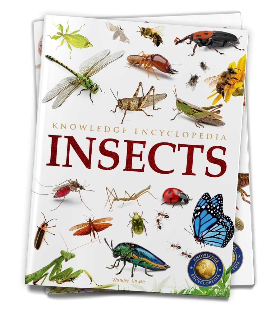 Animals - Insects : Knowledge Encyclopedia For Children