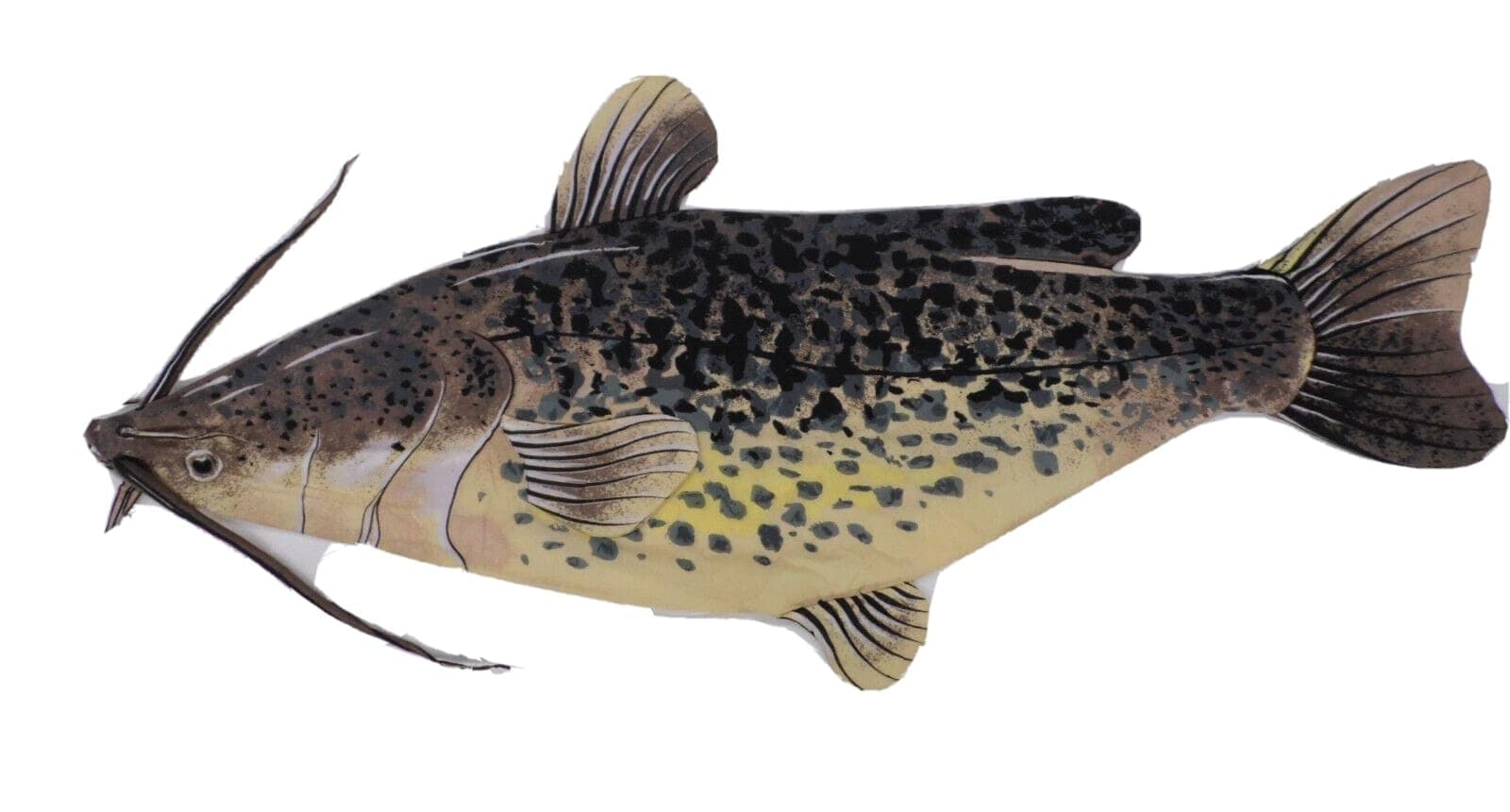 New Decorative Pillow Shell Catfish Shaped Unstuffed 20 x 54 inches