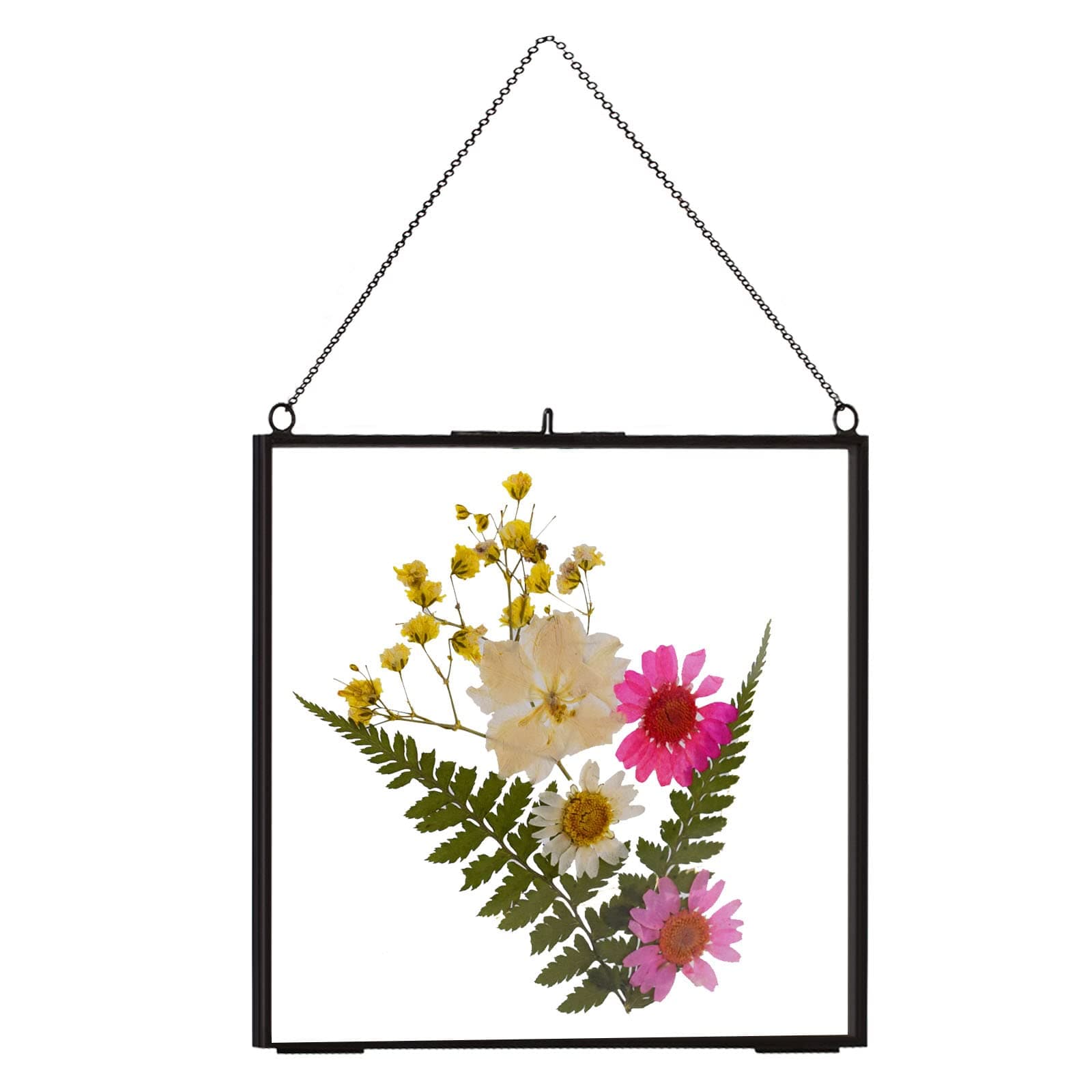 TLBTEK 6 inch Hanging Photo Frame, Double Glass Frame for Pressed Flowers,Clear DIY Vintage Artwork Display Frame Wall Mounted Photos Frame