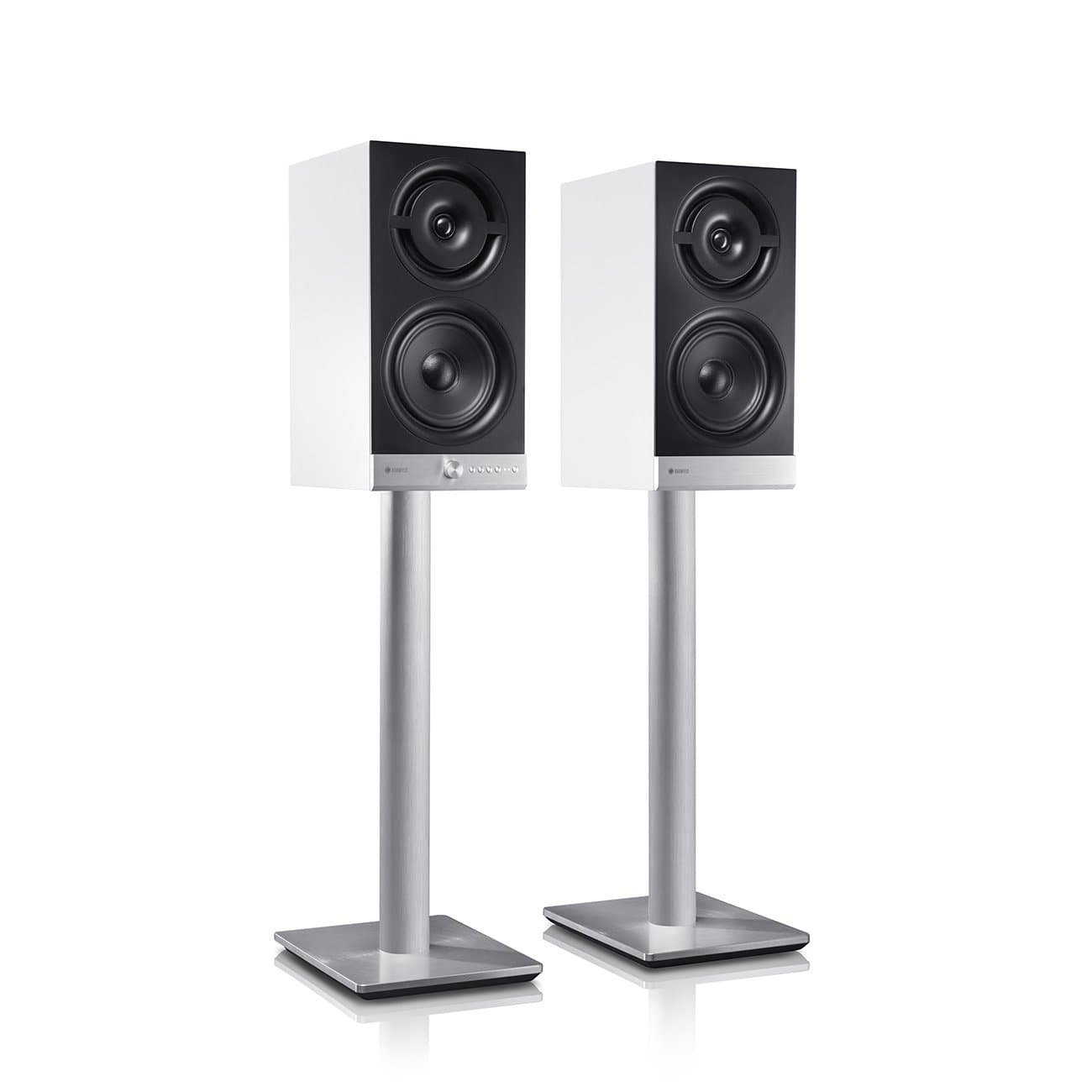 Raumfeld M Speaker Feet and Spikes (Pair)