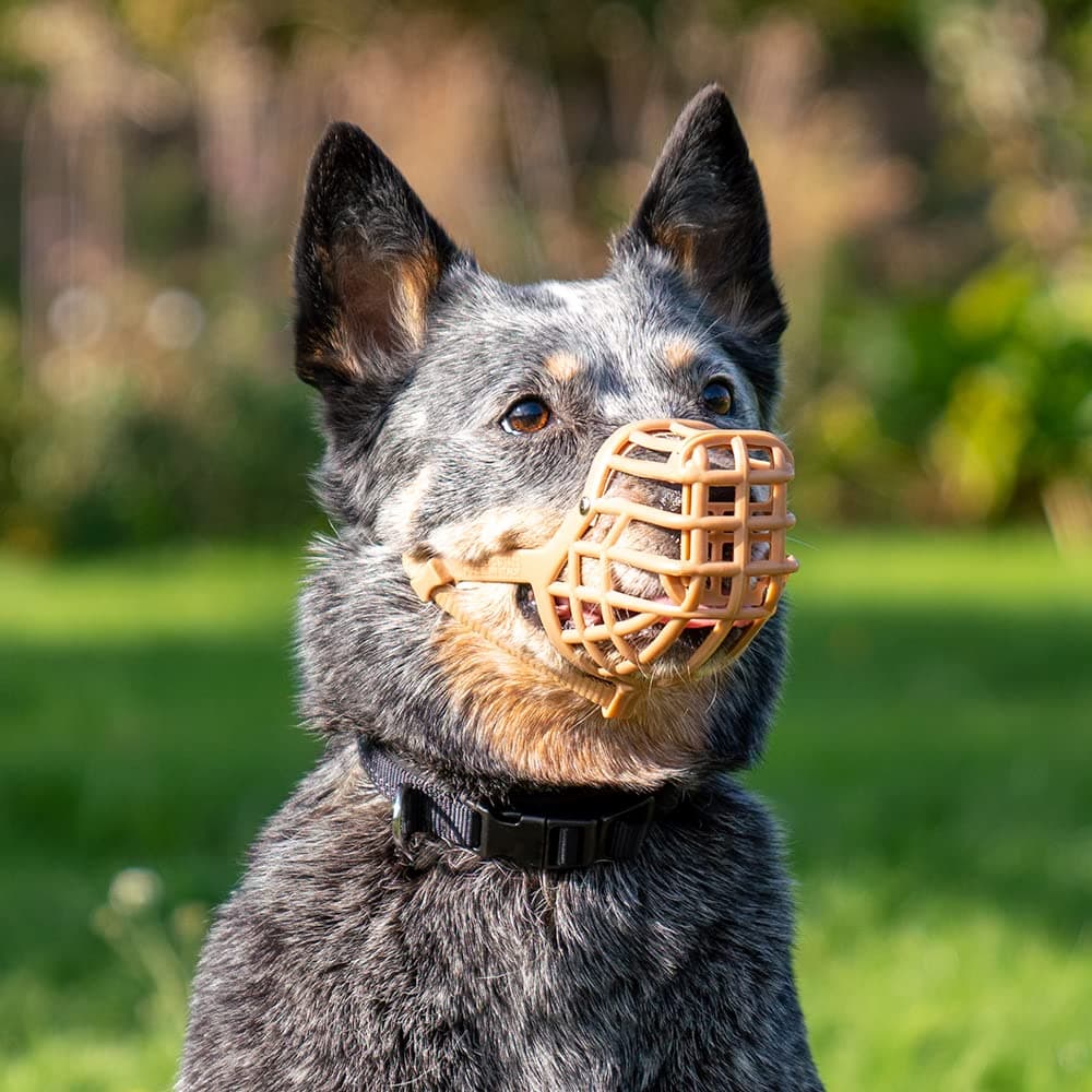 Safe BASKERVILLE ANTI SCAVENGE MUZZLE, Size 5, Dog can Pant and Drink, Prevents Biting and Food Waste Scavenging, Ideal for Longer Nosed Dogs, Breathable Dog Training Muzzle for Medium Dogs