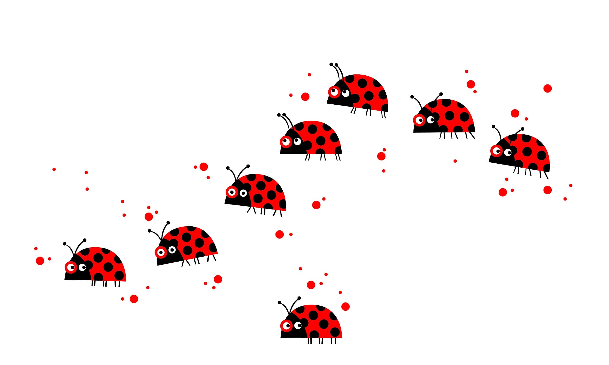 Piccolo Line B4105AJV5 Ladybug Parade Stickers