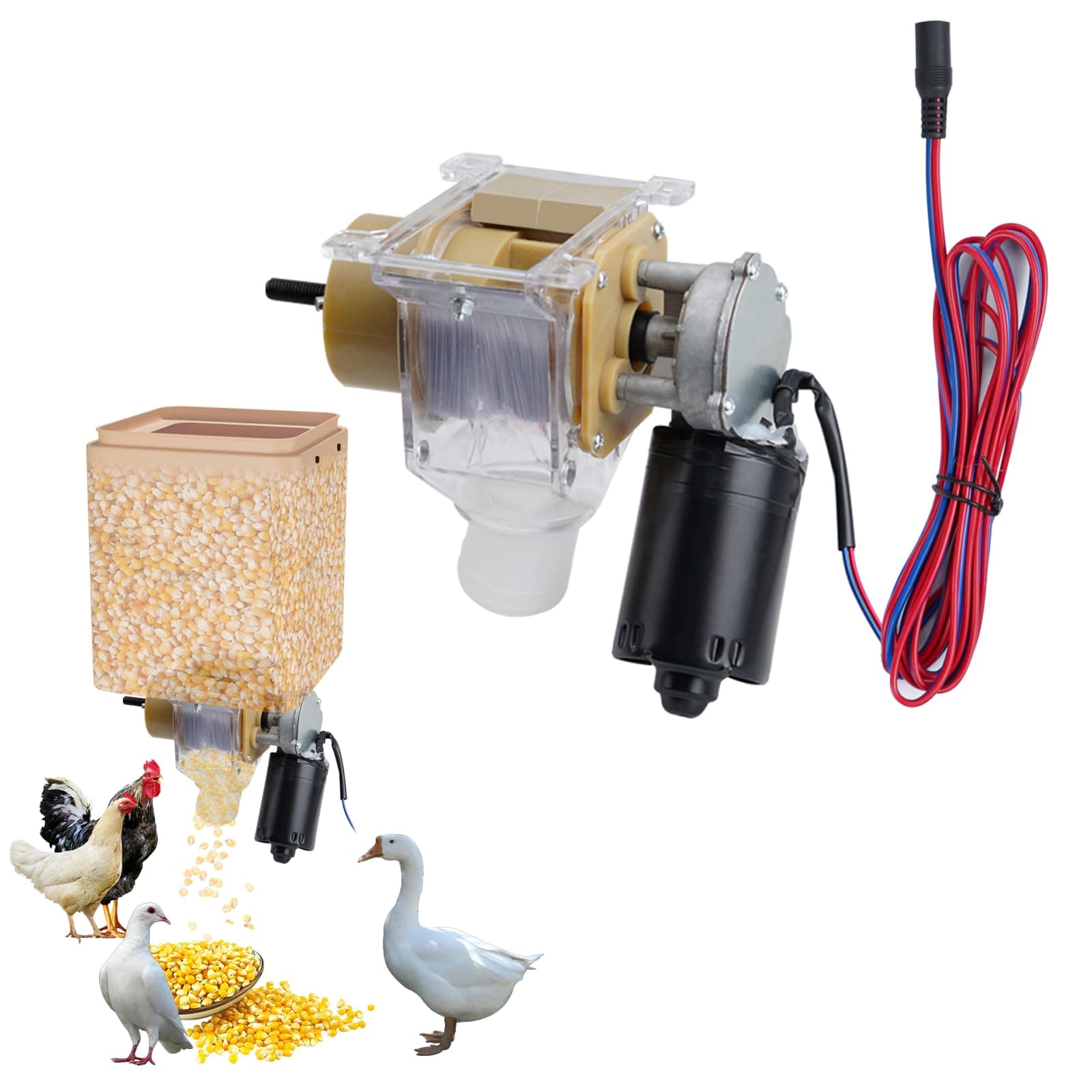DIY Timed Poultry Feeder - Quantitative Feeder for Chickens, Ducks, Geese, Pigeons, Dogs, Fish, Cats
