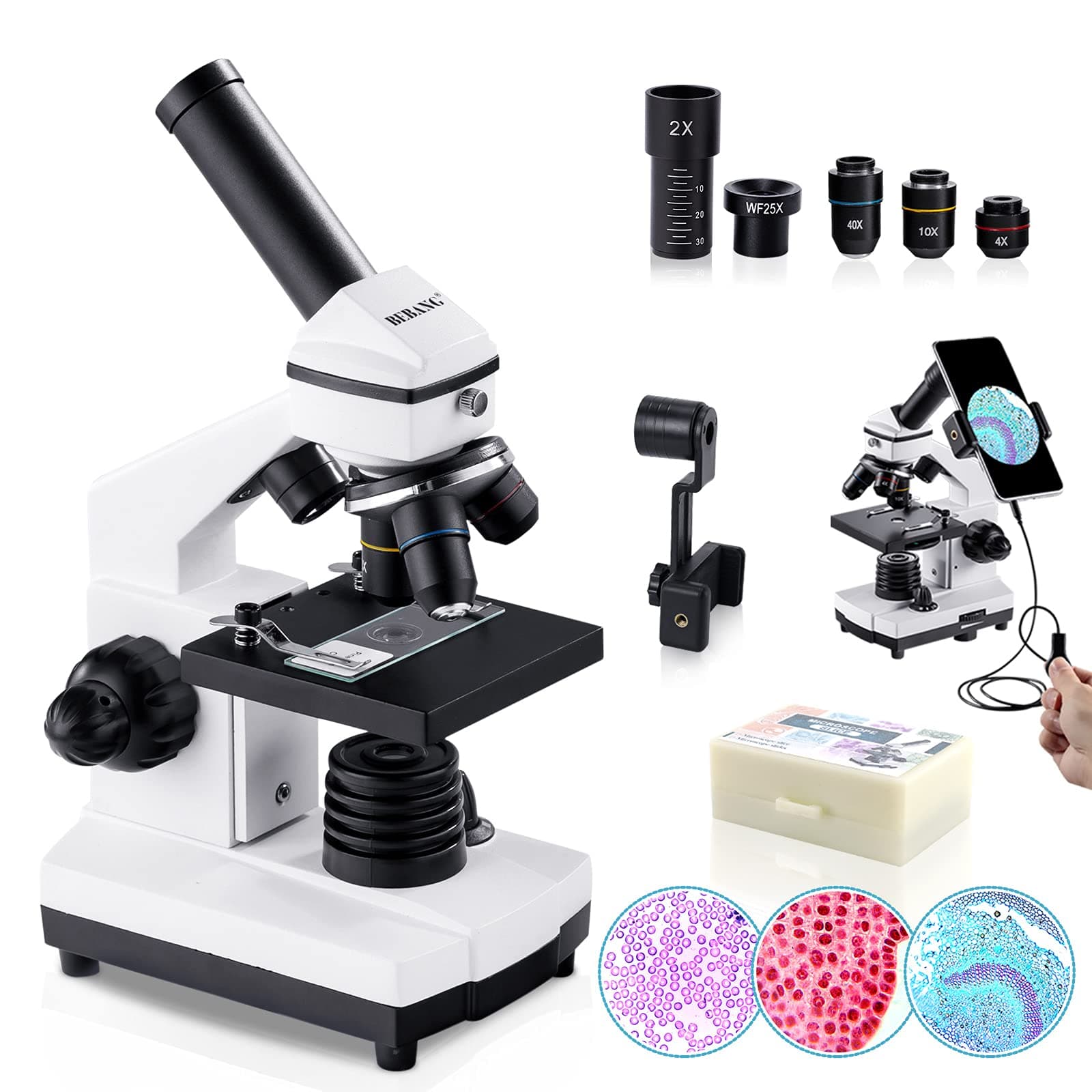 BEBANG 100X-2000X Microscope for Children Adults, Professional Biological Microscope for Students School Laboratory