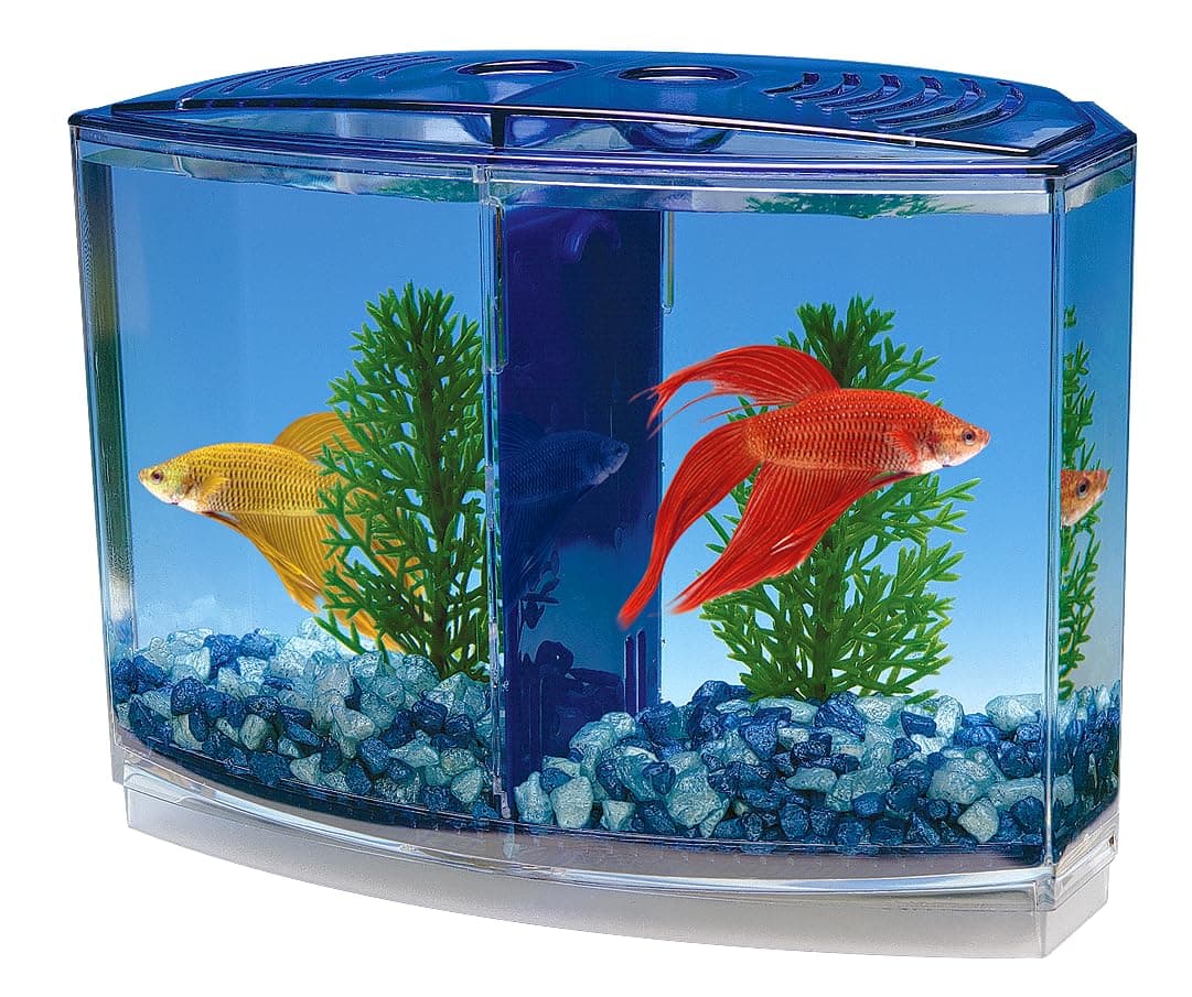 Penn-Plax Twin Betta Bow-Front Kit for Aquarium Blue, Green, Tank is 7.5" Across The Front, 6" Across The Back