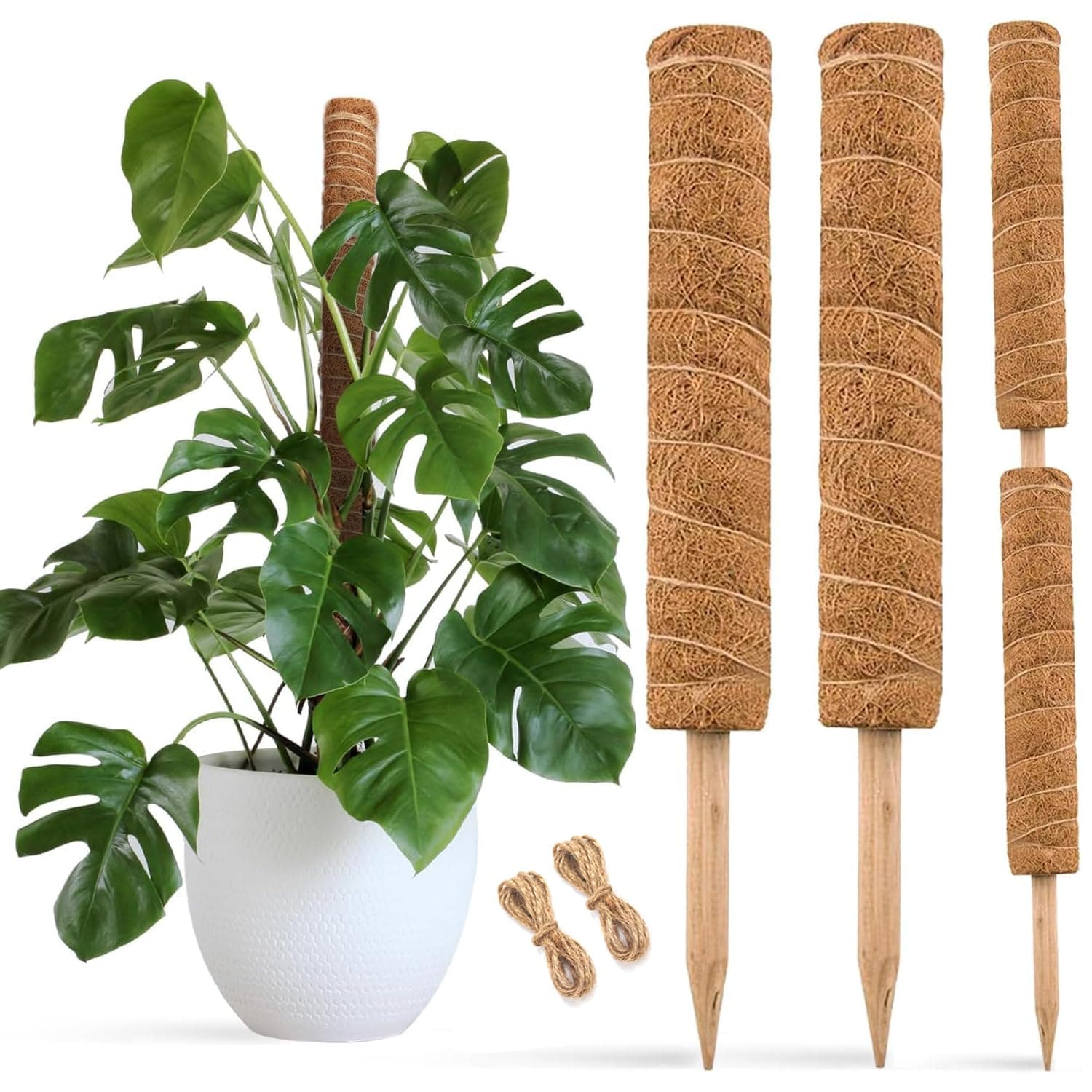JOYSEUS 30 Inch Moss Pole for Climbing Plants - 2 Pack 15 Inch Coir Totem Pole Plant Support with 65 Feet Garden Twist Tie for Monstera and Potted Plants to Grow Upwards…