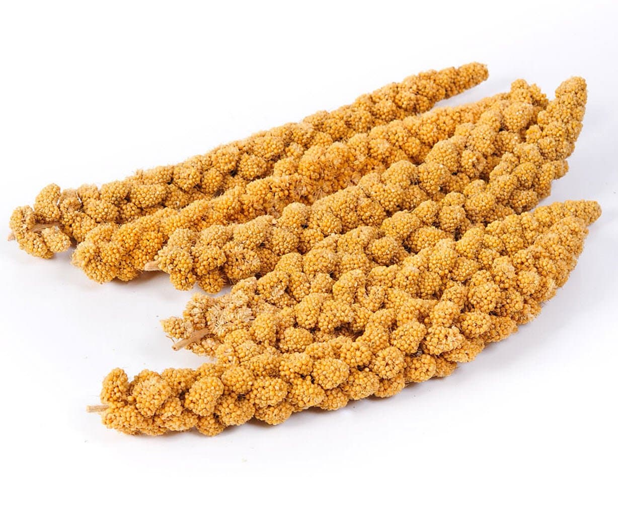 Spray Millet 16 oz., Pack of 24