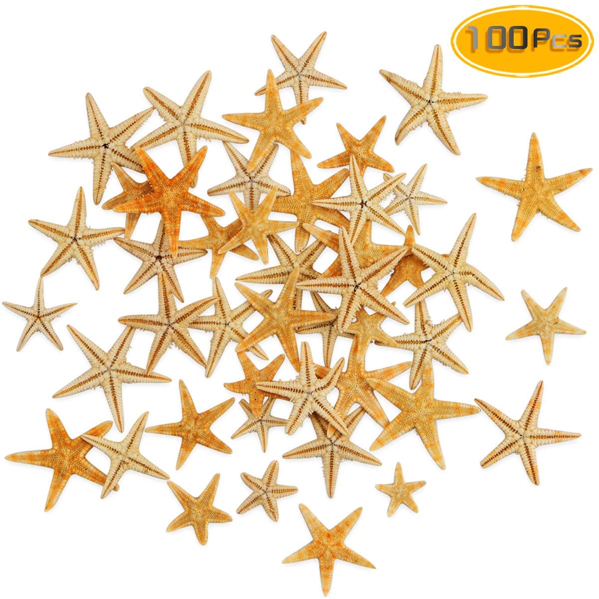 Yexpress 100 Pcs Small Starfish Sea Shell Beach Crafts Decor(0.4"-1.2")