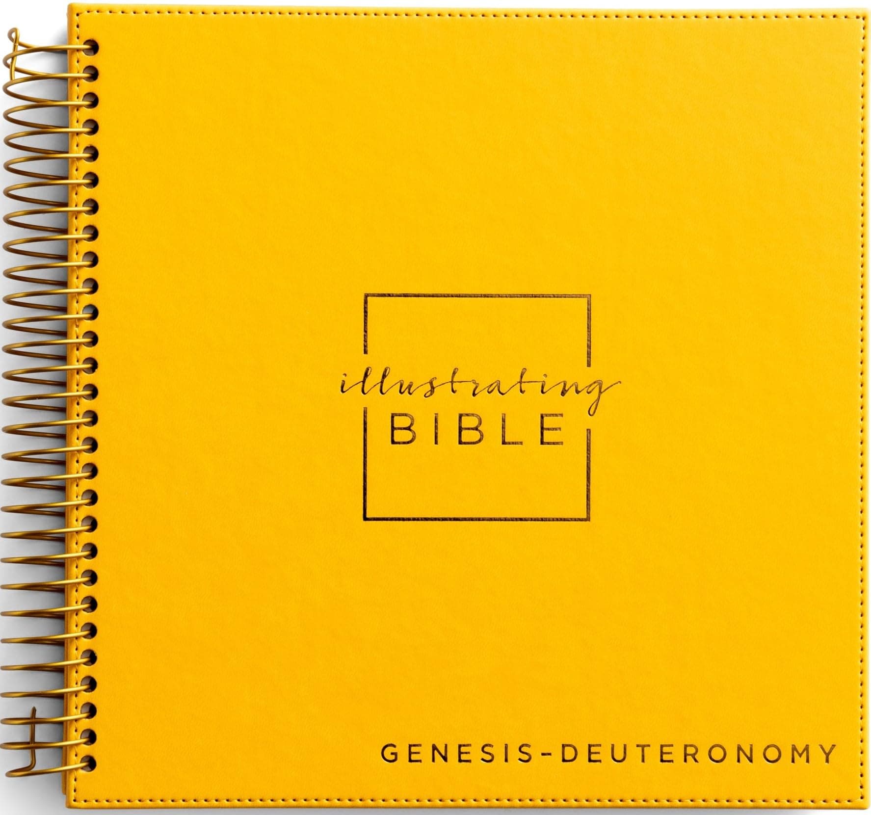 NIV Illustrating Bible, Genesis - Deuteronomy